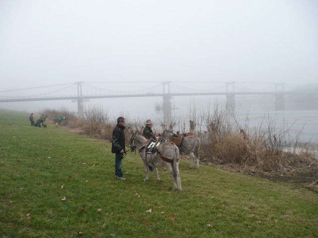 Loire Propre 2012 (10).jpg